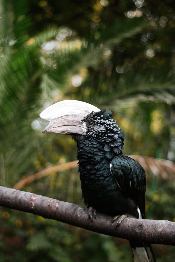 How Do I Achieve A Minimalist Look In My Photos? How Do I Achieve A Minimalist Look In My Photos?