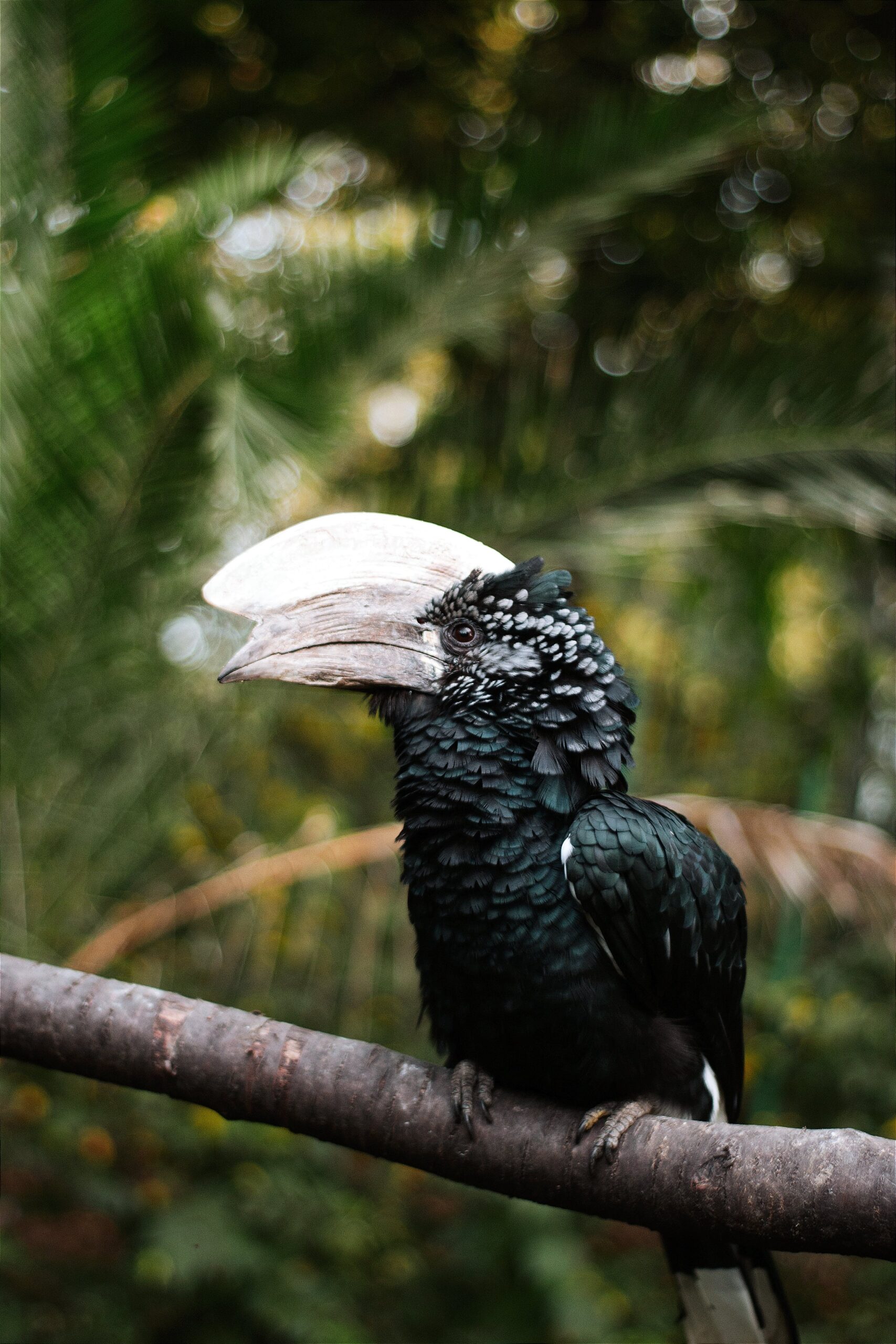 How Do I Achieve A Minimalist Look In My Photos? 1 how do i achieve a minimalist look in my photos 3 scaled