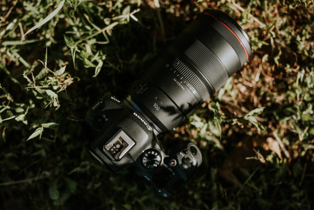 How Do Mirrorless Cameras Compare To Traditional DSLRs?