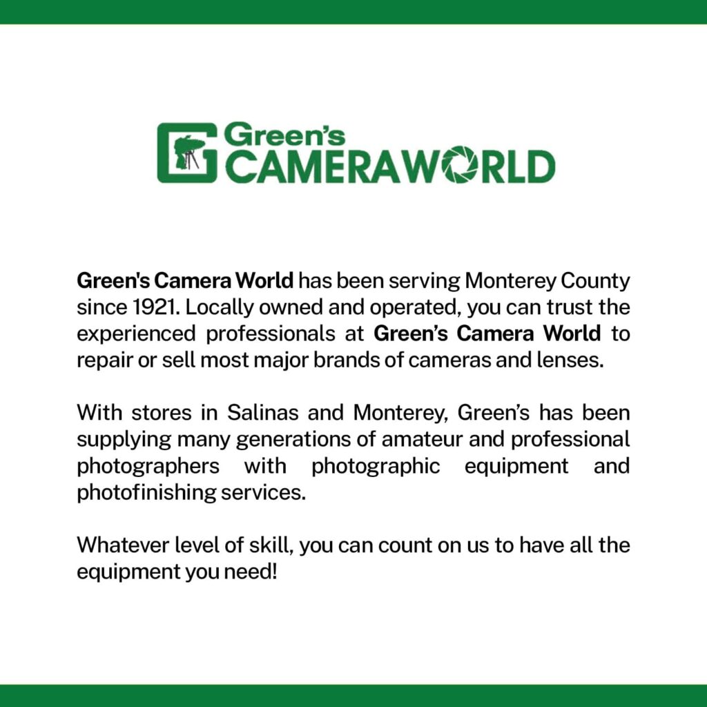 Nikon D3500 DSLR Camera with 18-55mm Lens (1590) + 4K Monitor + 2 x 64GB Cards + 2 x EN-EL14a Battery + Corel Photo Software + Pro Tripod + Case + 3 Piece Filter Kit + More (Renewed)