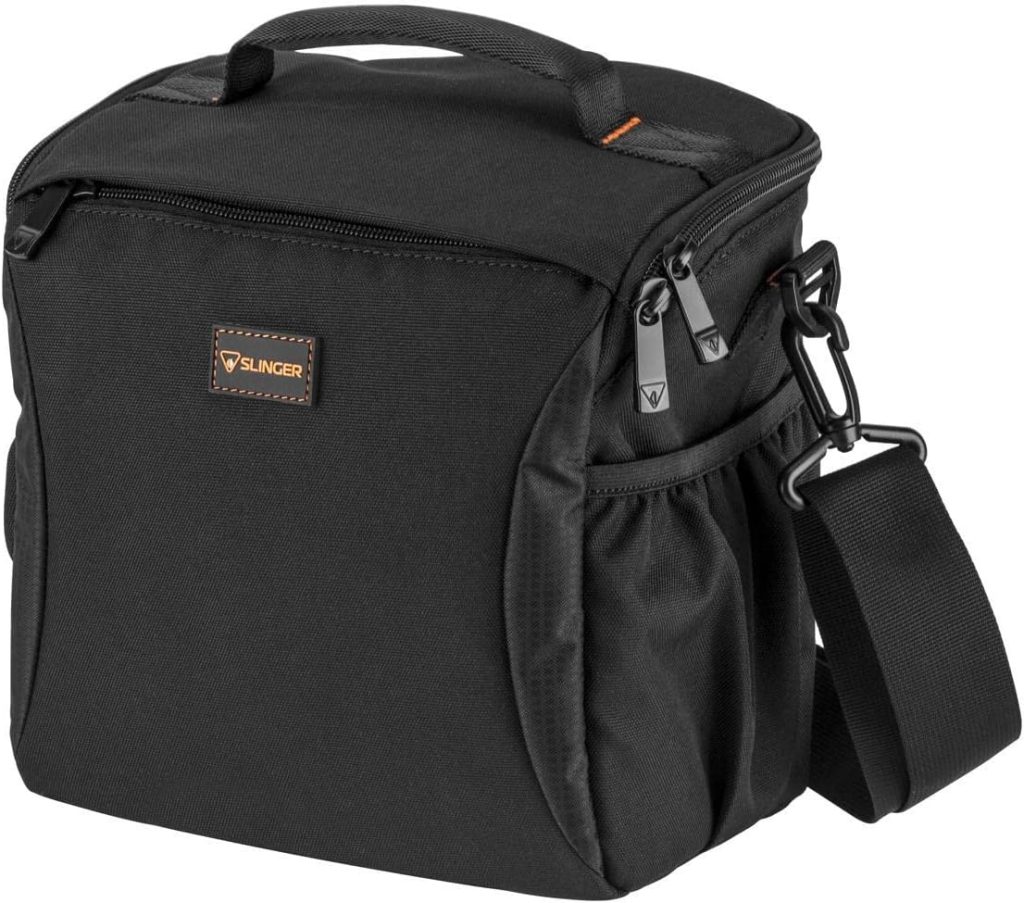 Panasonic Lumix DMC-FZ2500 Digital Camera - Bundle with Camera Case, 32GB SDHC U3 Card, Memory Wallet, Cleaning Kit, SD Card Reader, MAC Software Package